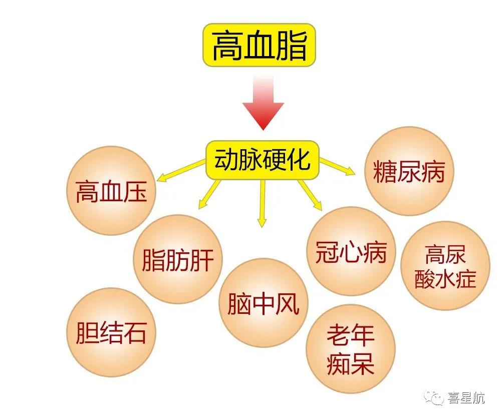 关于高血压、糖尿病患者，9月1日起城乡居民医保门诊用药保(图3)