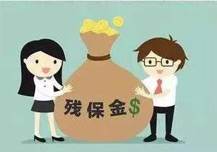 残保金优化：企业社会责任与成本效益的双赢策略